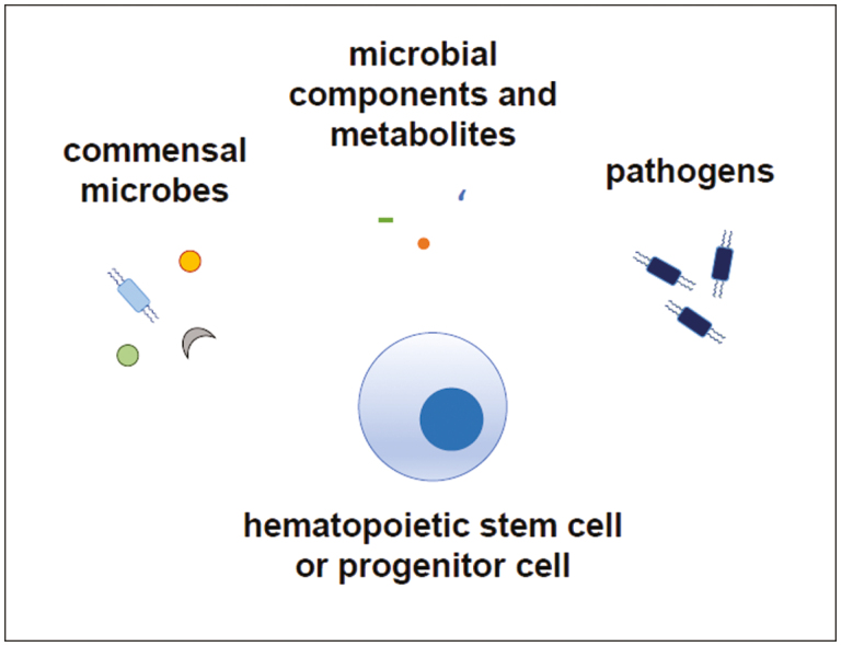 Graphical Abstract