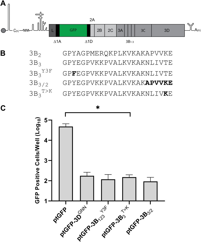 FIG 1