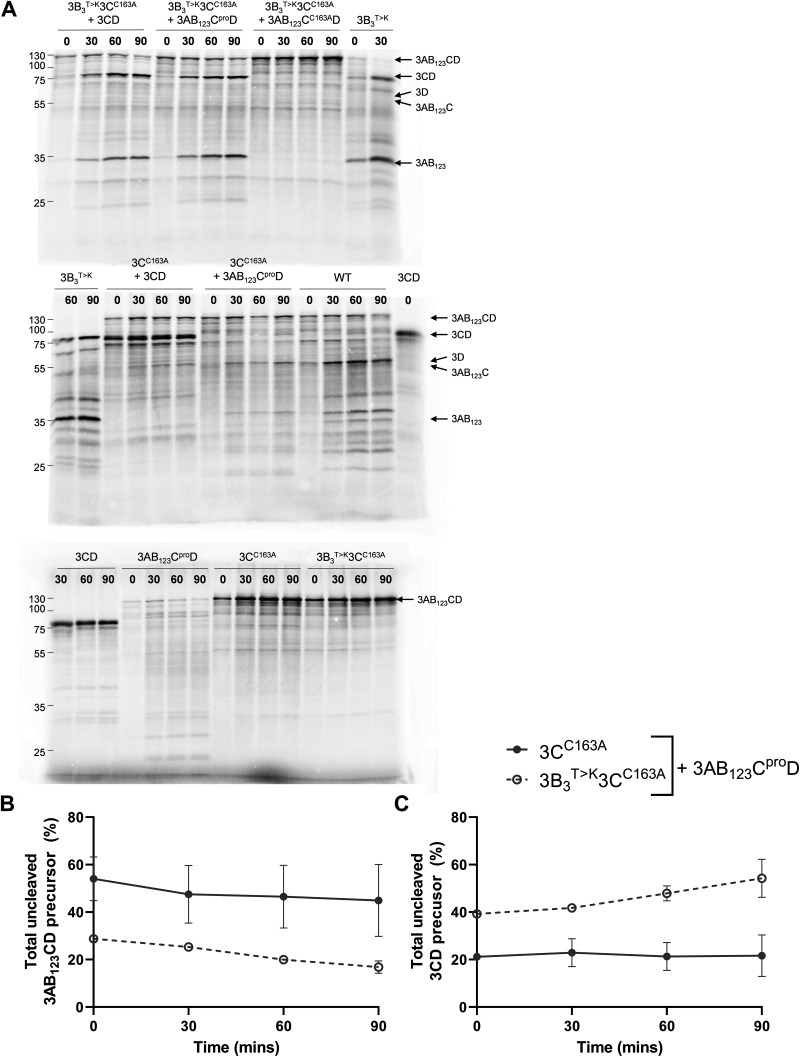 FIG 4