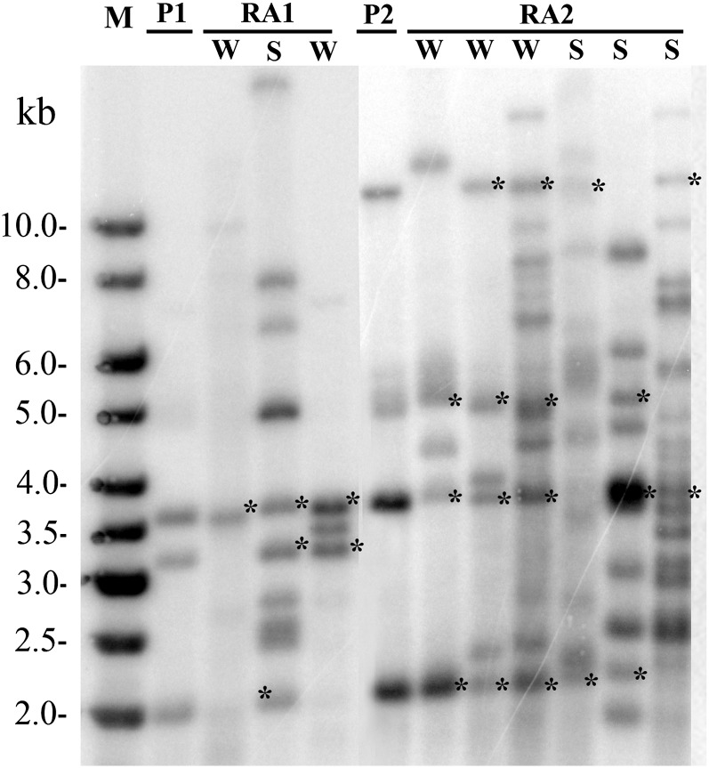 Figure 6.