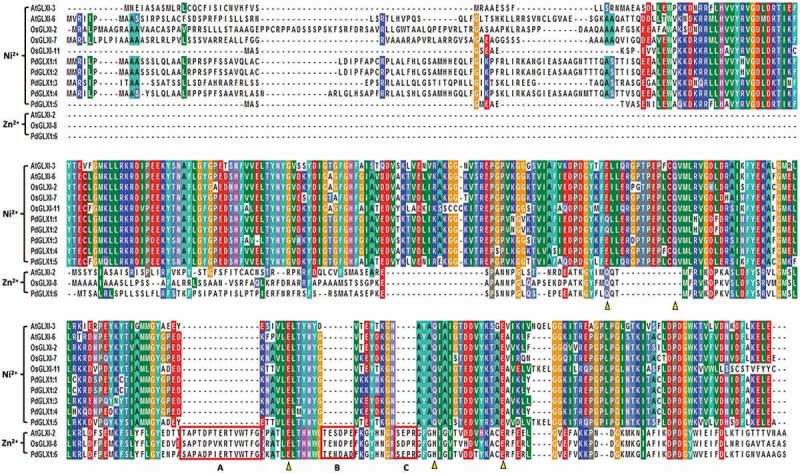 Figure 3.