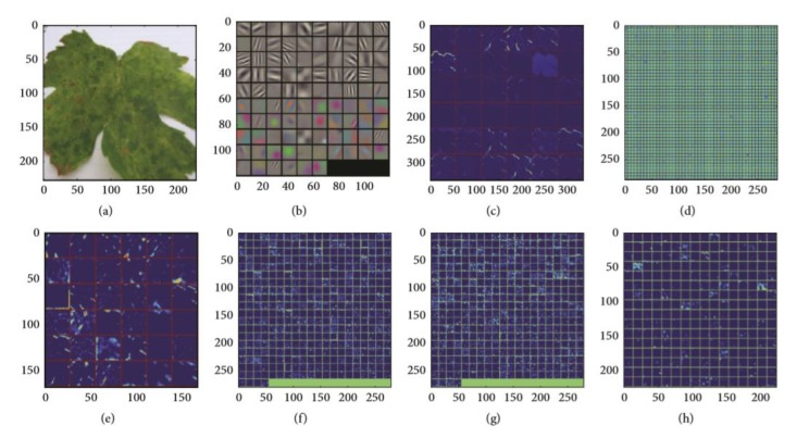 Figure 4