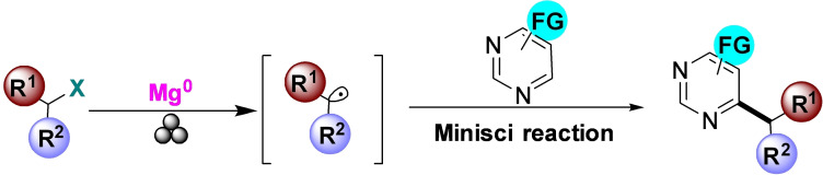 Scheme 37