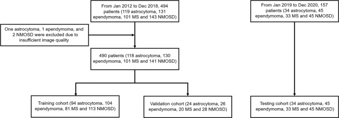 Flowcharts of patient selection for (left) training and validation and (right) testing. MS = multiple sclerosis, NMOSD = neuromyelitis optica spectrum disorders.