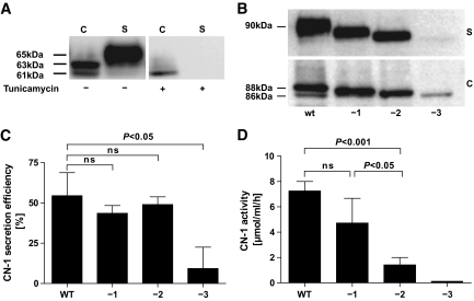 FIG. 2.