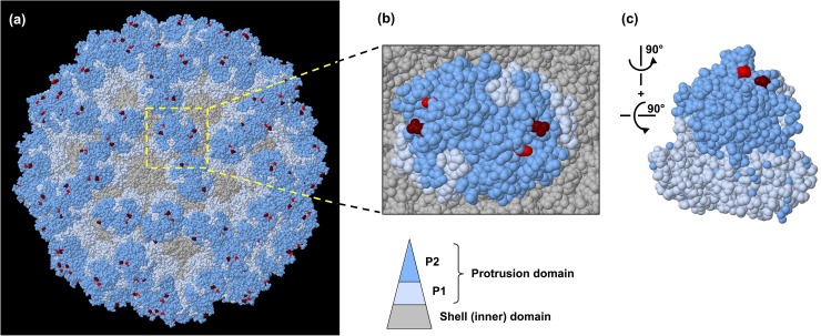 Fig 4