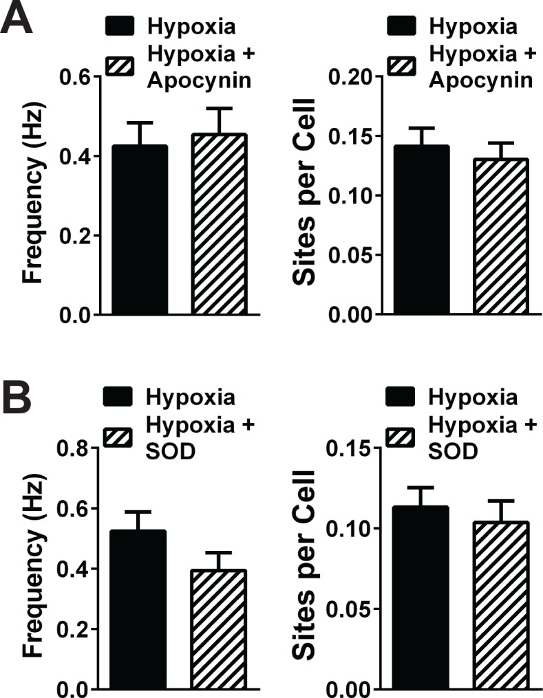 Figure 4—figure supplement 1.