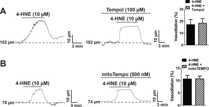 Figure 5—figure supplement 2.