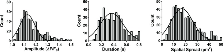 Figure 3—figure supplement 2.