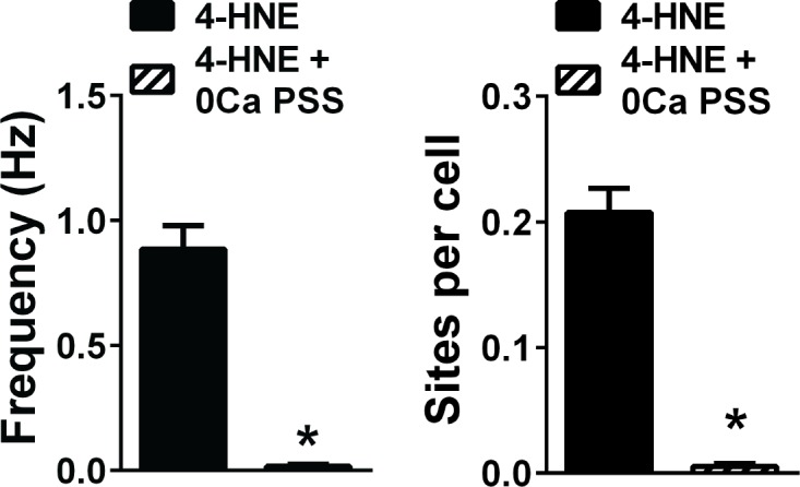 Figure 1—figure supplement 3.