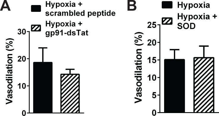 Figure 5—figure supplement 1.