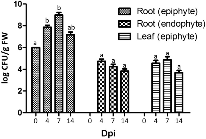 FIGURE 4