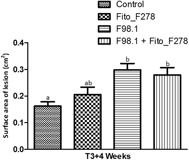 FIGURE 6