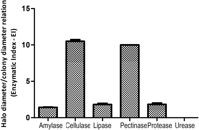 FIGURE 2