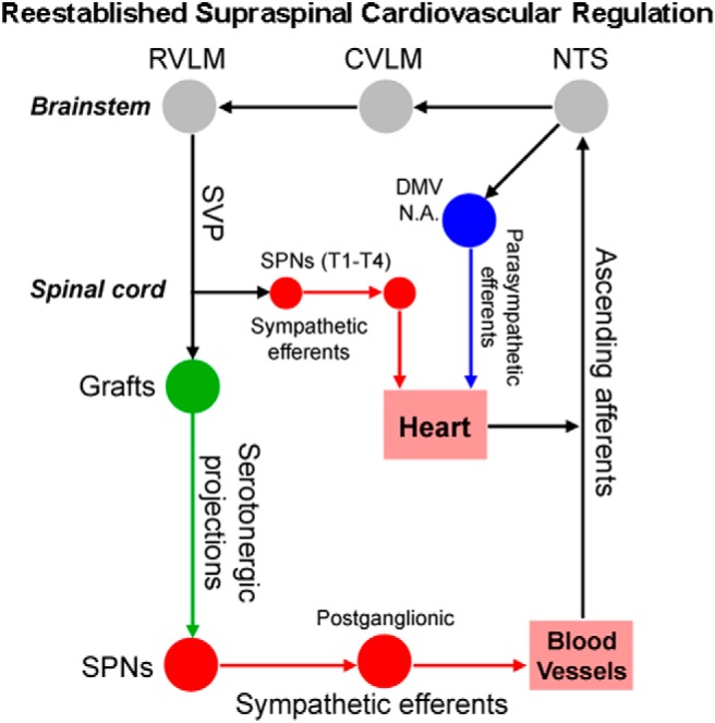 Figure 12.