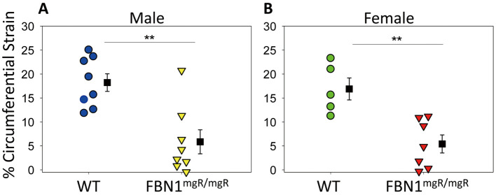 Figure 2.