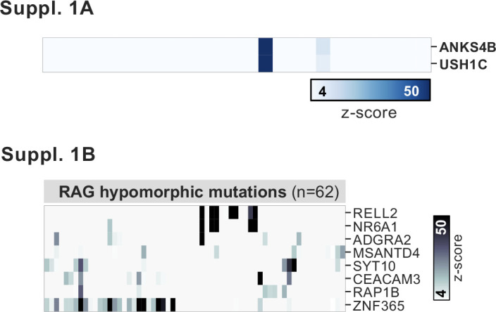 Figure 5—figure supplement 1.