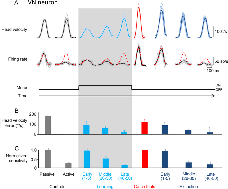 Figure 6: