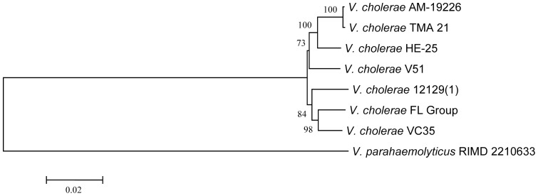 Figure 7