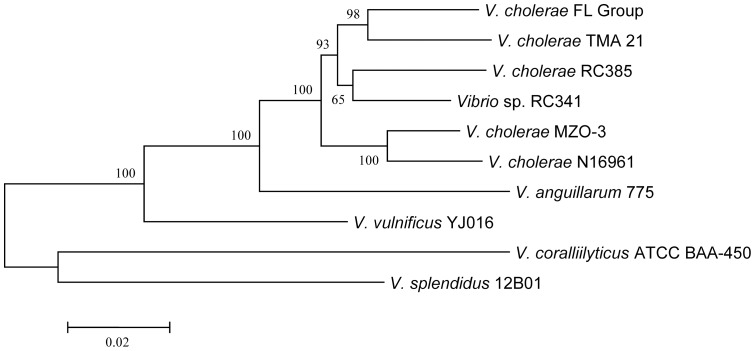 Figure 11