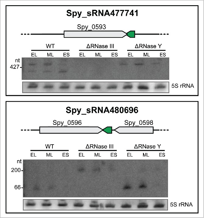 Figure 5.