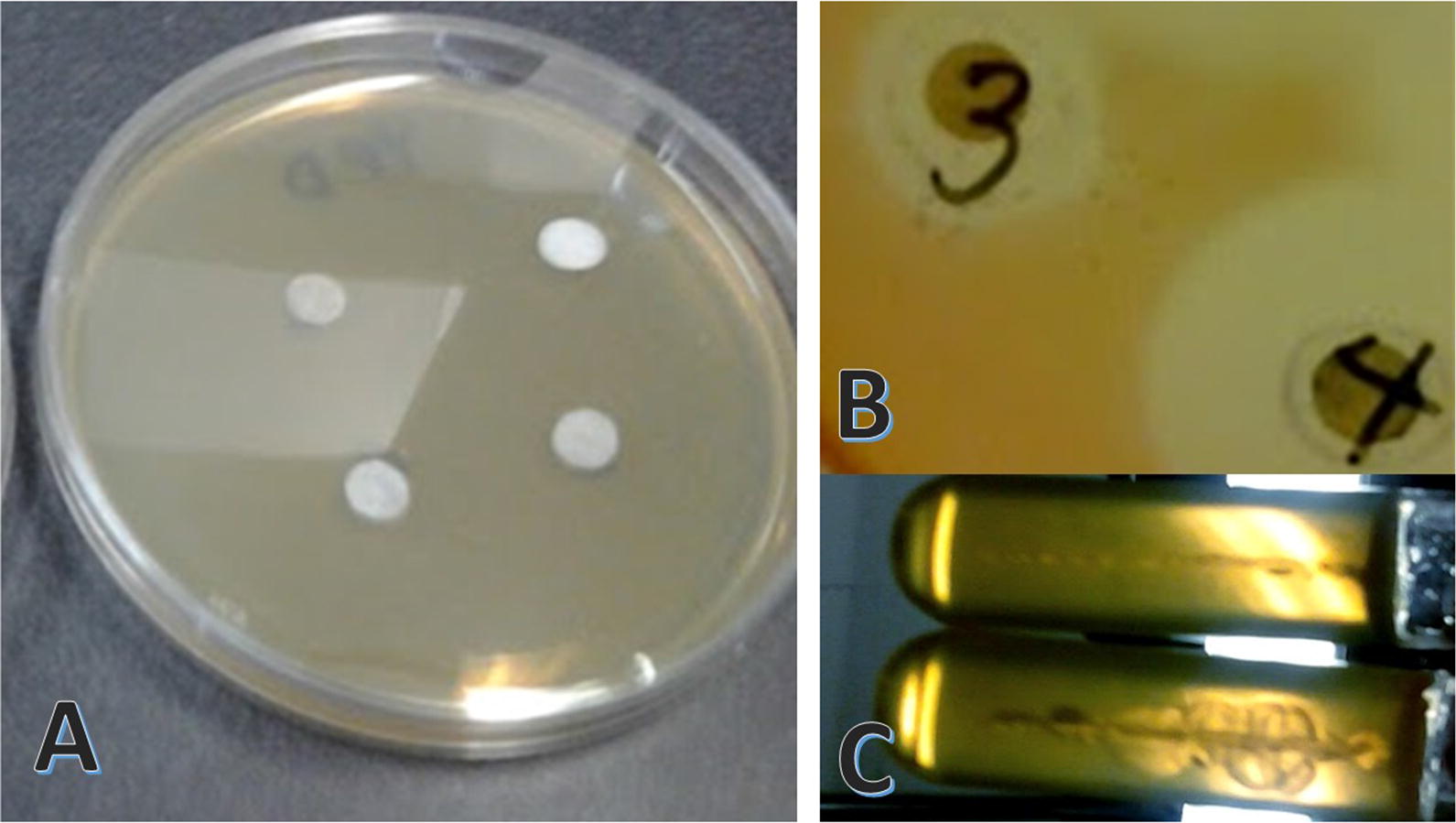 Fig. 14