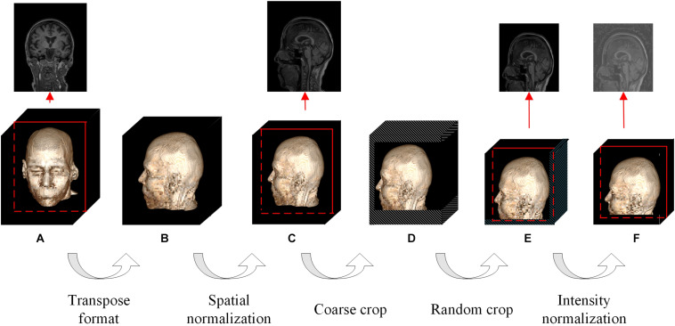 FIGURE 2