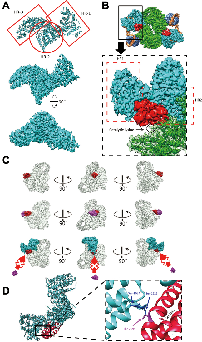 Figure 2