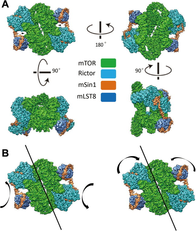 Figure 1