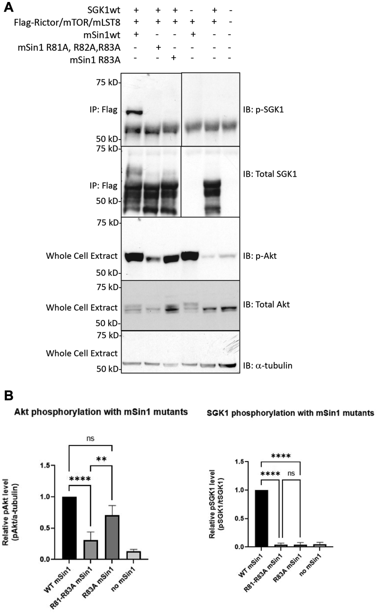 Figure 4