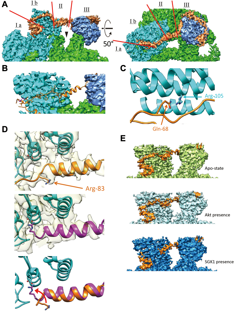 Figure 3