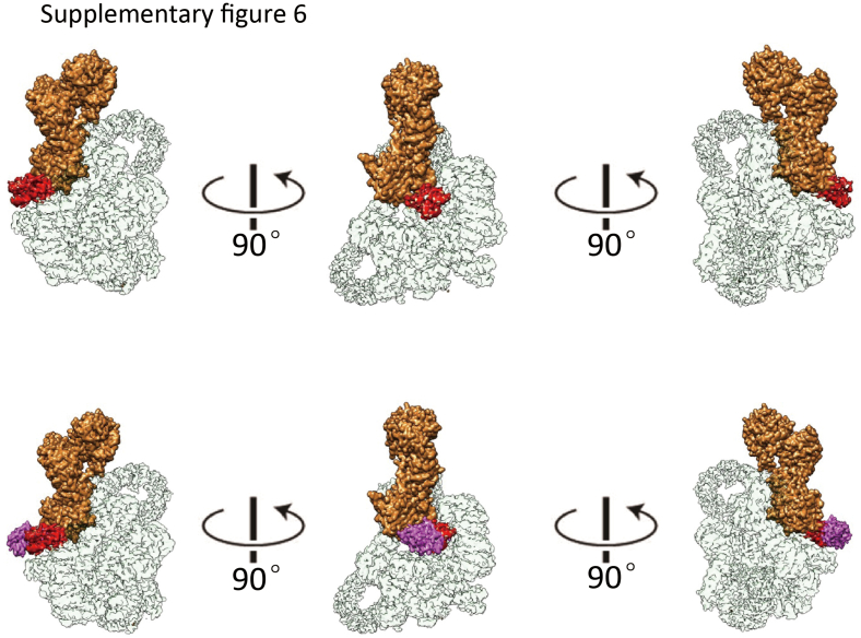 Supplementary Figure 6