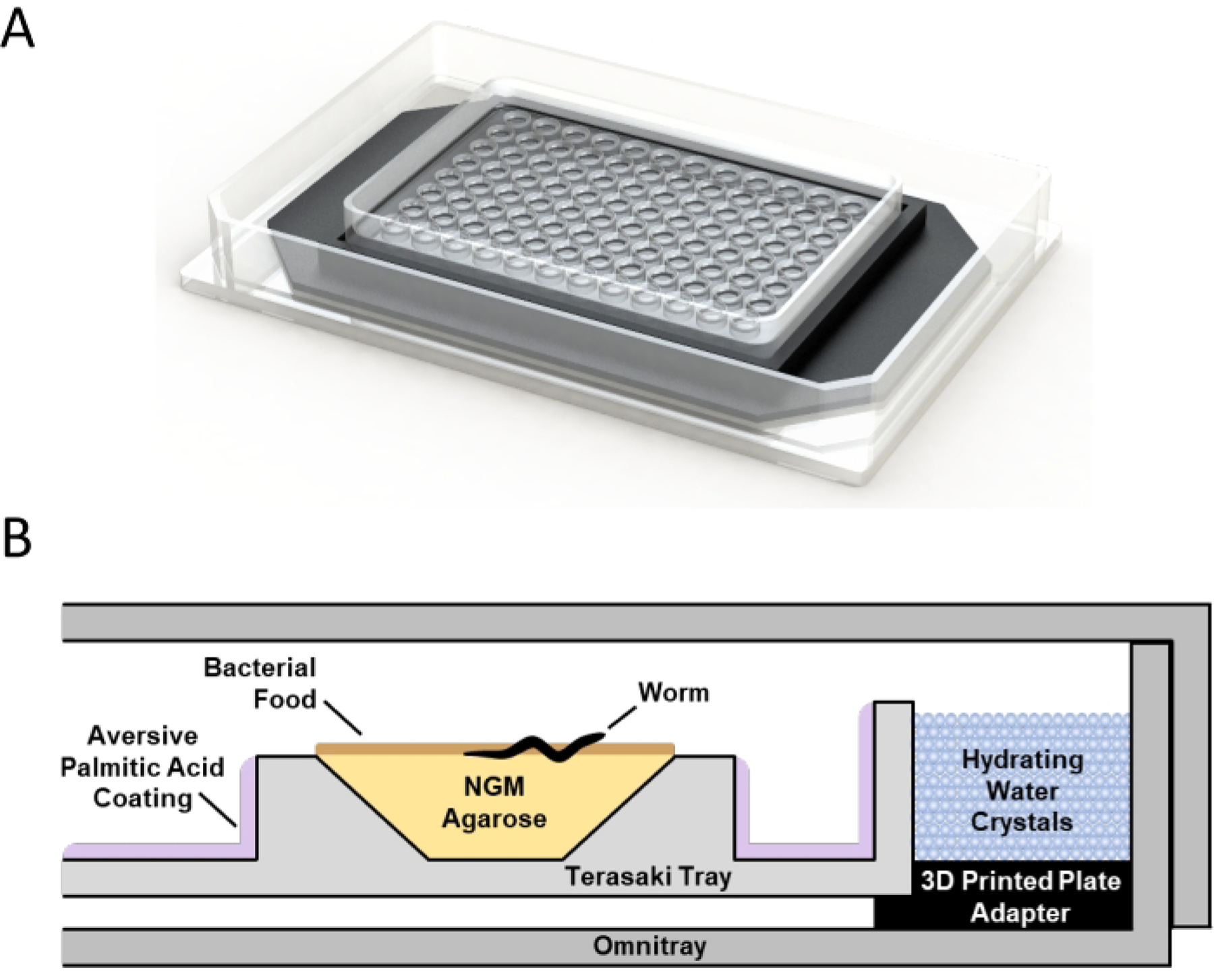 Figure 1: