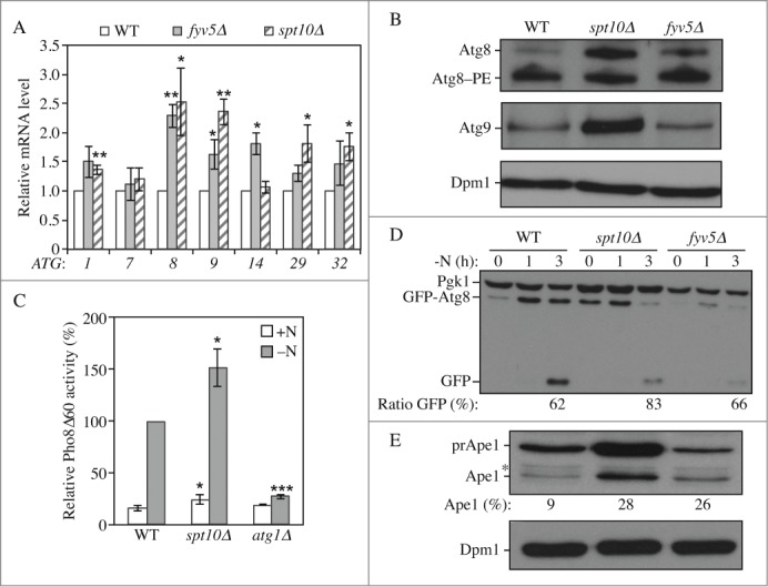 Figure 4.