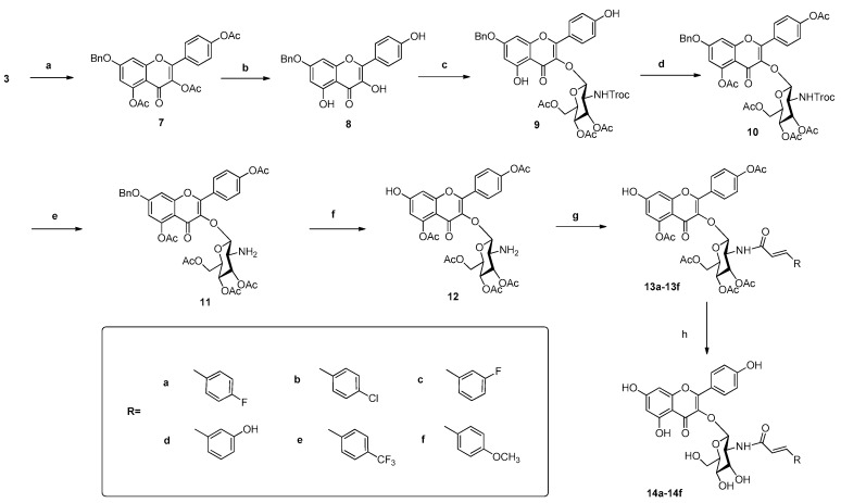 Scheme 2