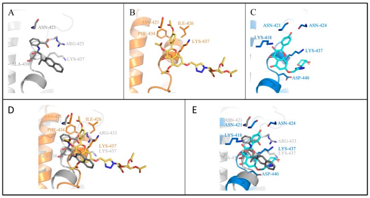 Figure 7