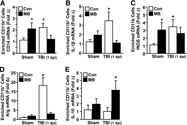 FIG. 4.