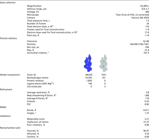 graphic file with name pnas.1707506114st02.jpg