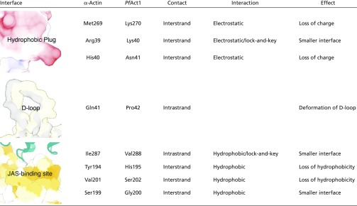 graphic file with name pnas.1707506114st01.jpg