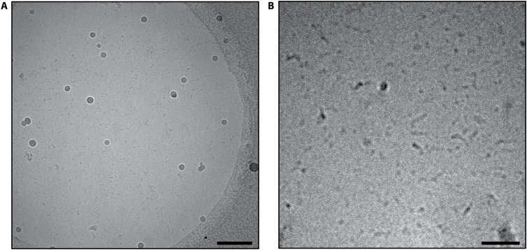 Fig. S1.