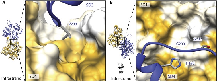 Fig. S5.