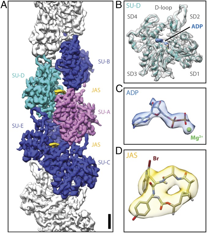 Fig. 1.