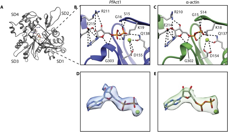 Fig. S3.