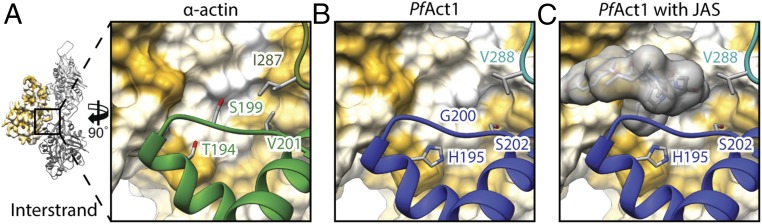 Fig. 6.