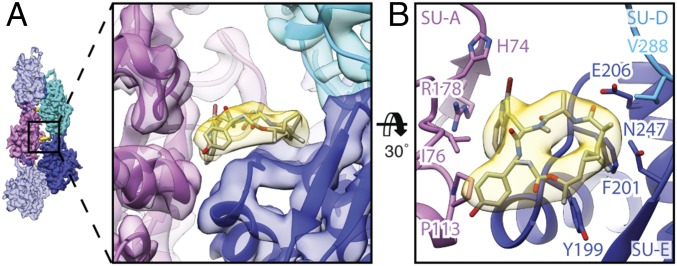 Fig. 3.