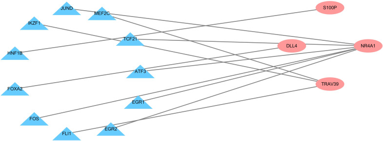 Figure 5