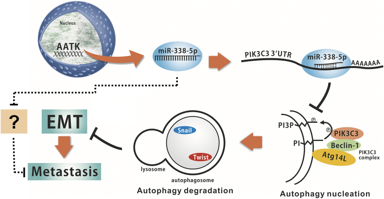 Supplementary Fig. S5