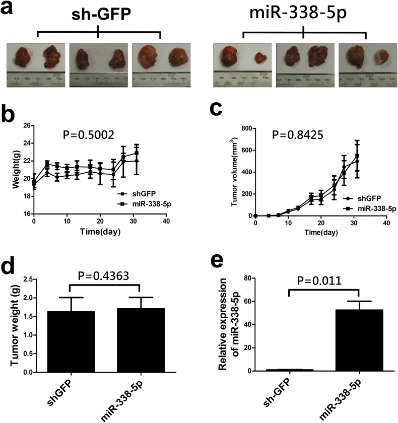 Supplementary Fig. S1