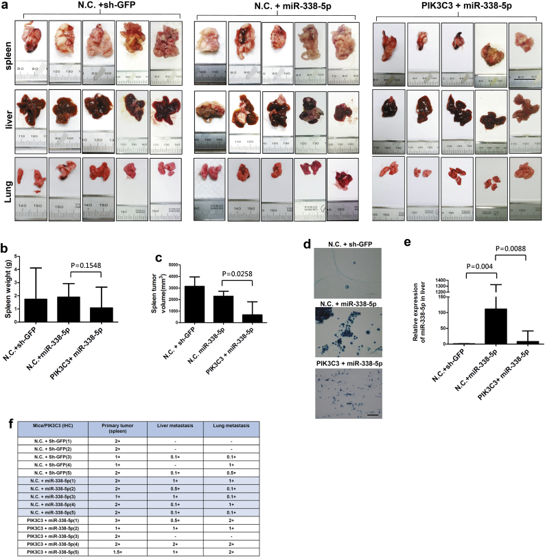 Supplementary Fig. S2