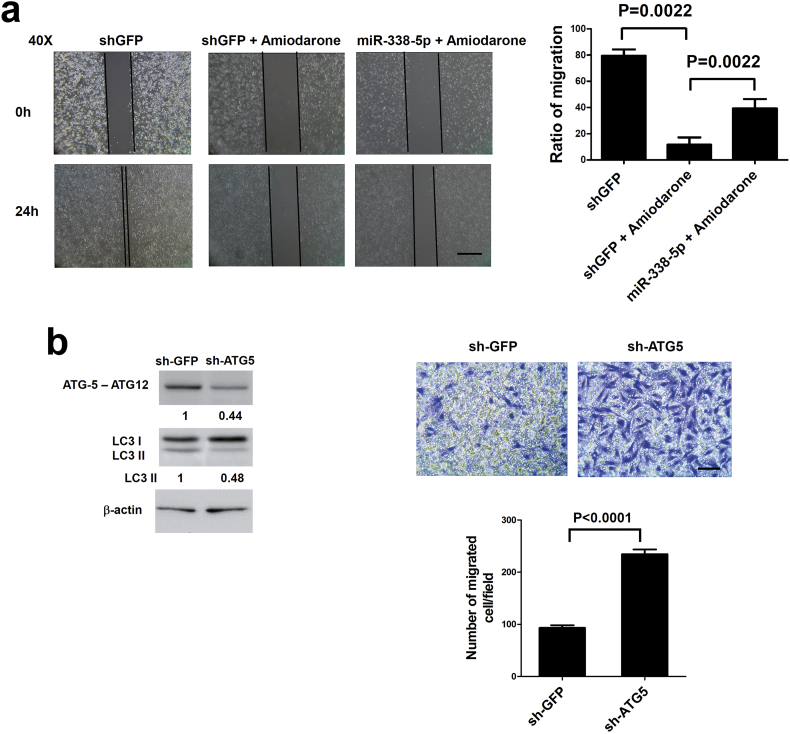 Supplementary Fig. S4